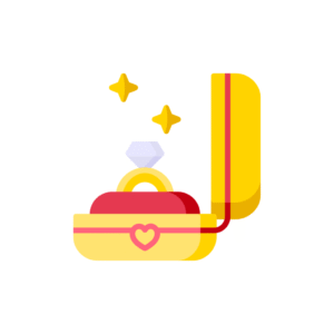 Organizer Box/ Pouch